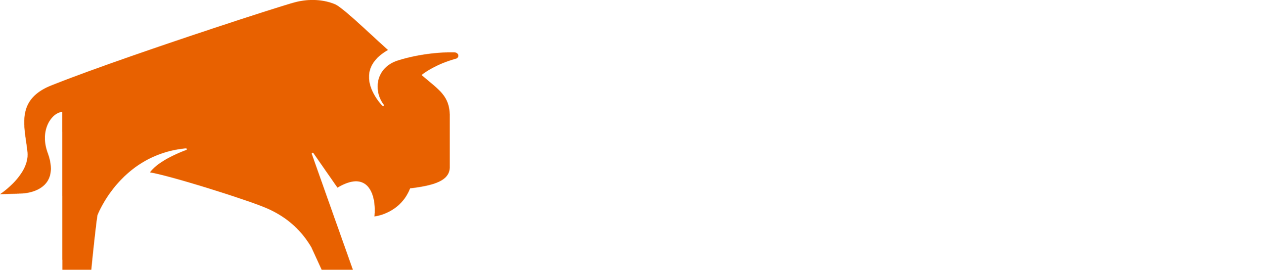 Bison Compression